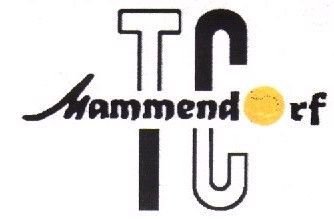 tc mammendorf_logo